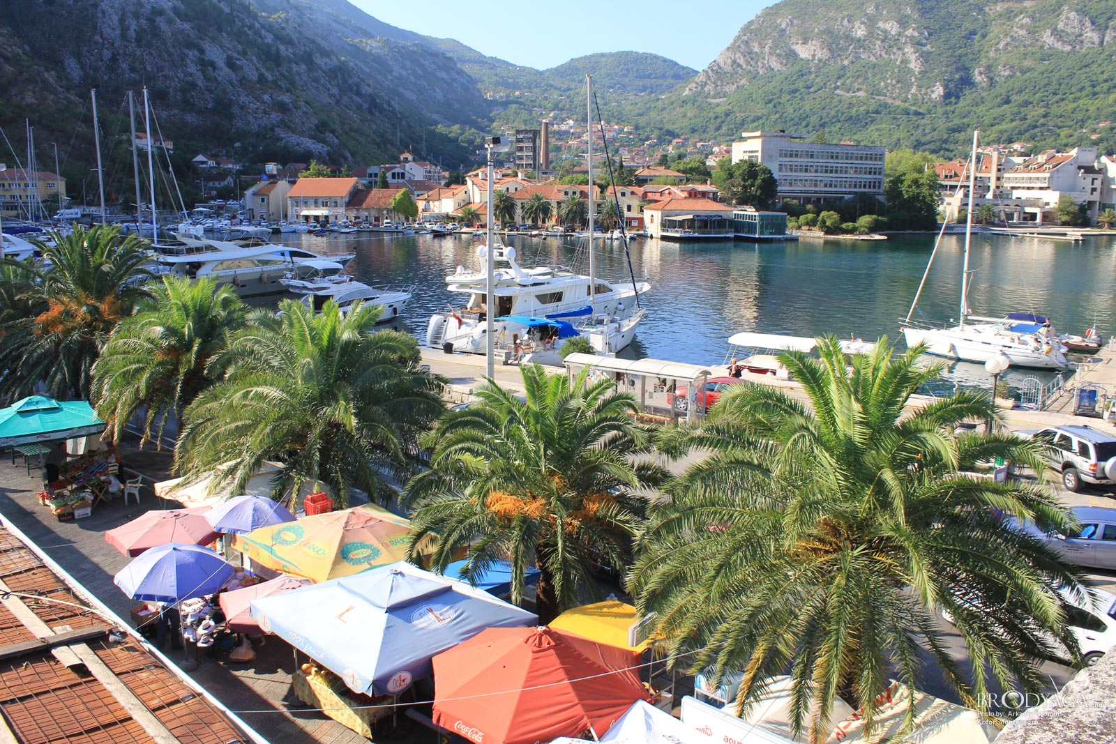 Kotor